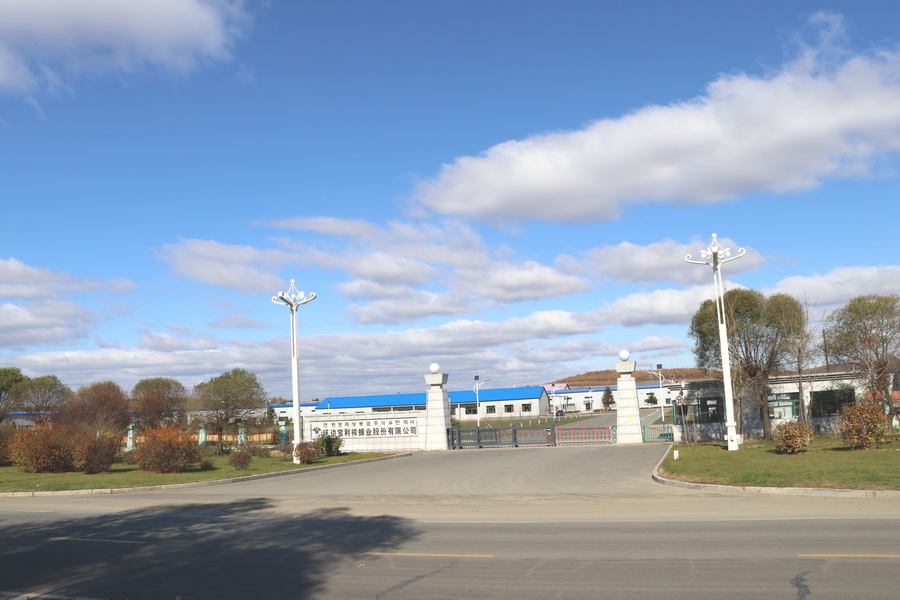 工廠(chǎng)搬遷至敦化市經(jīng)濟(jì)開(kāi)發(fā)區(qū)，占地面積為9萬(wàn)平方米